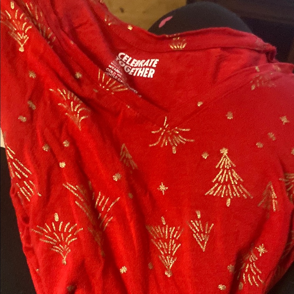 Celebrate Together Red Festive Top